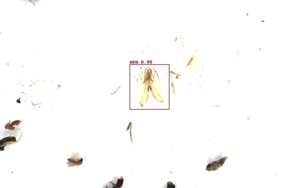 Image 36